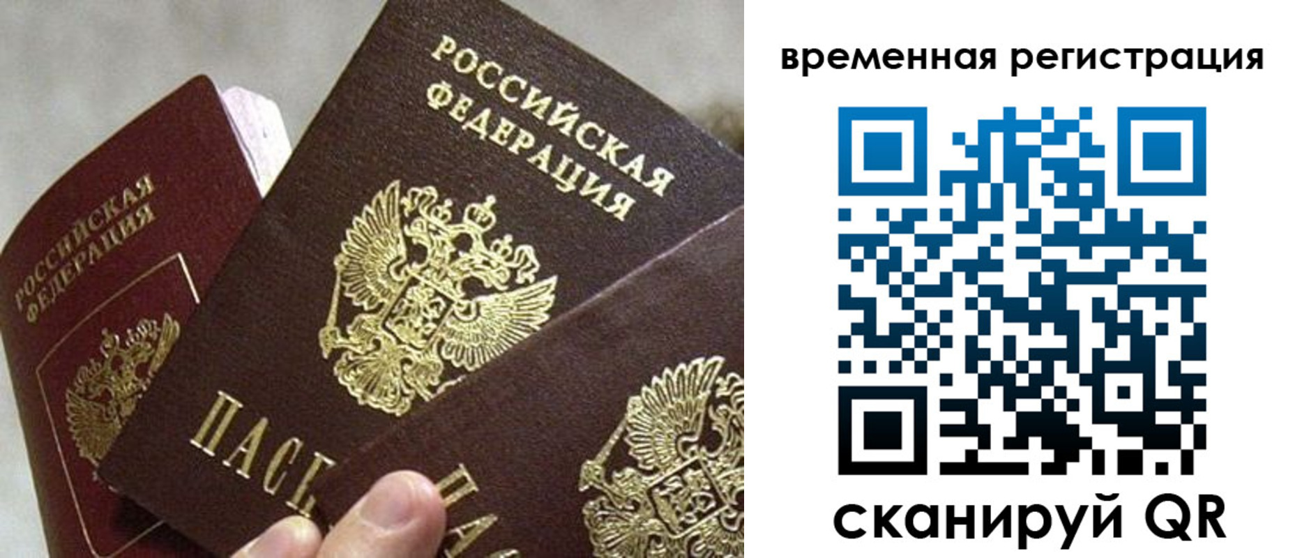 купить прописку в Мытищах